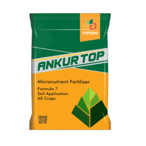 ANKUR TOP