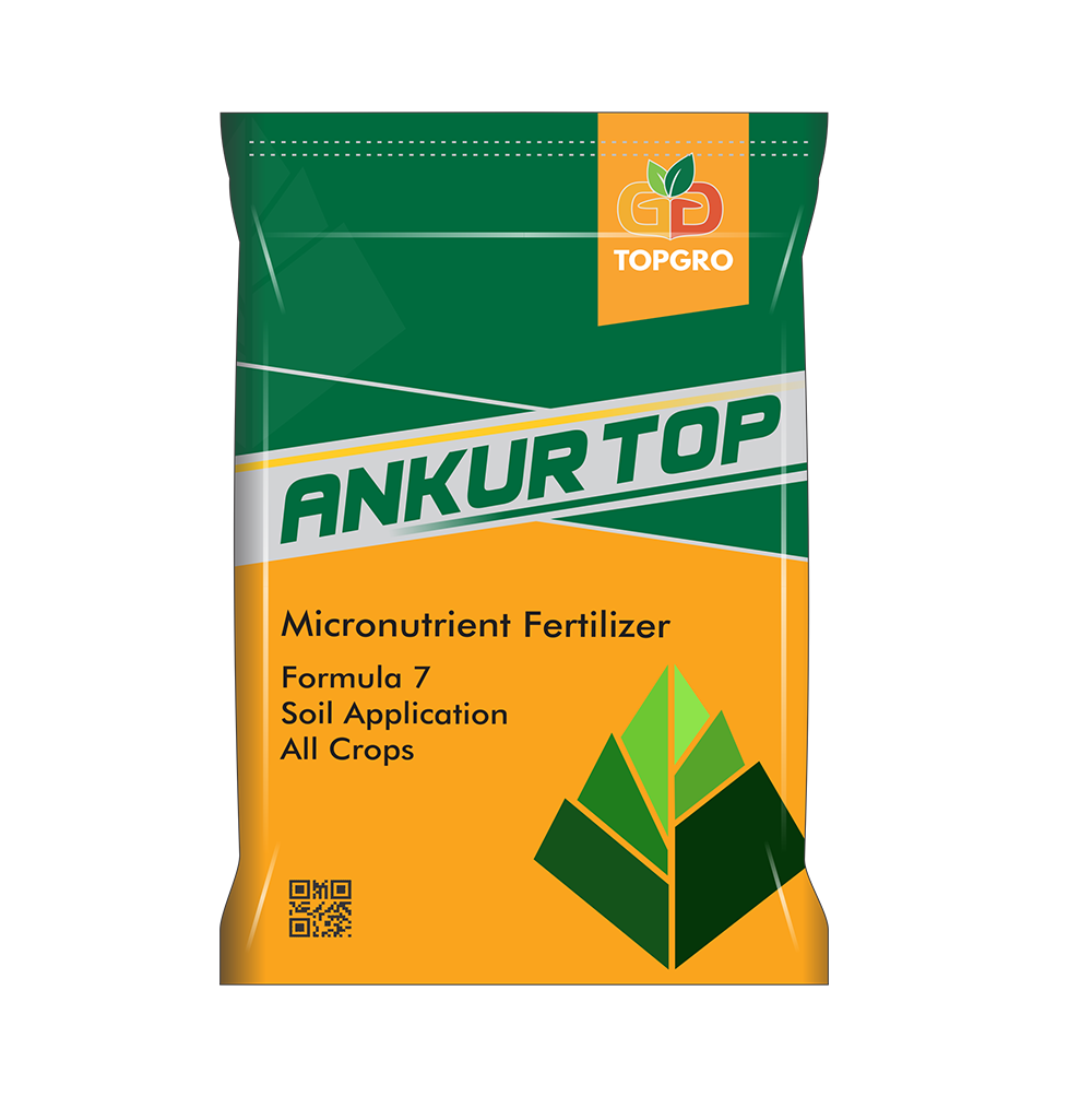ANKUR TOP