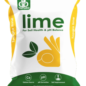 Lime