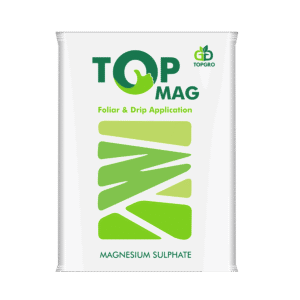 TOP MAG