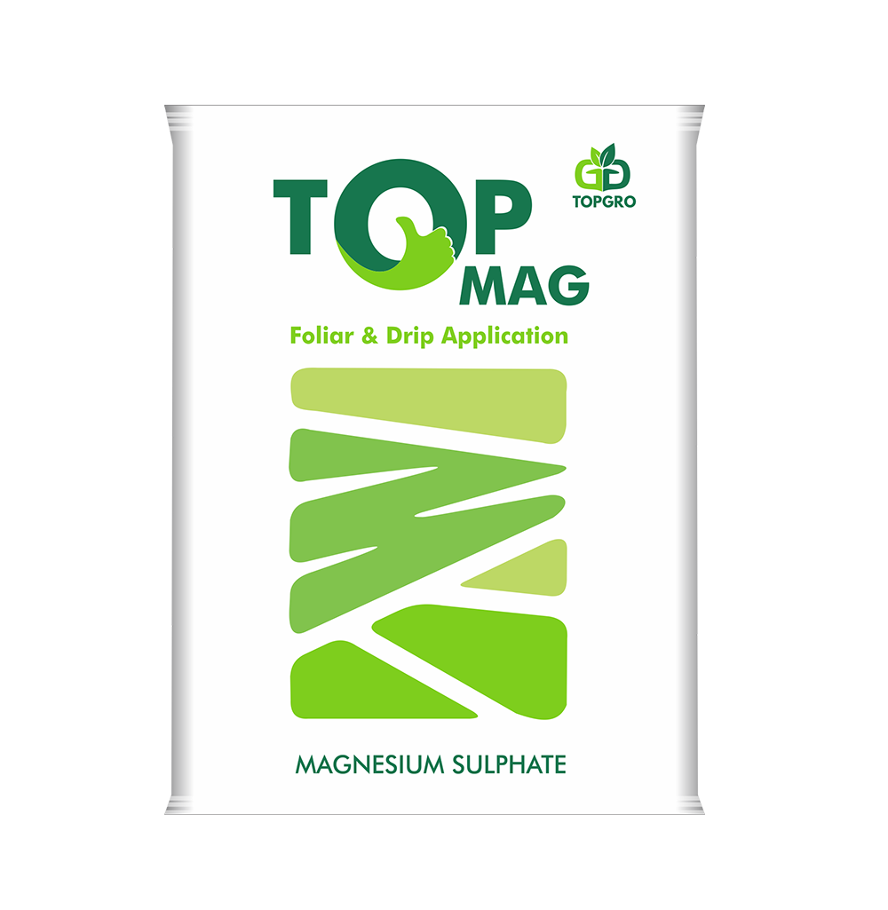 TOP MAG