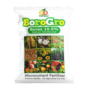 BoroGro