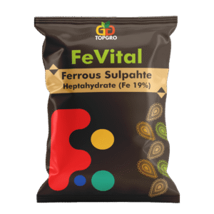 FeVital