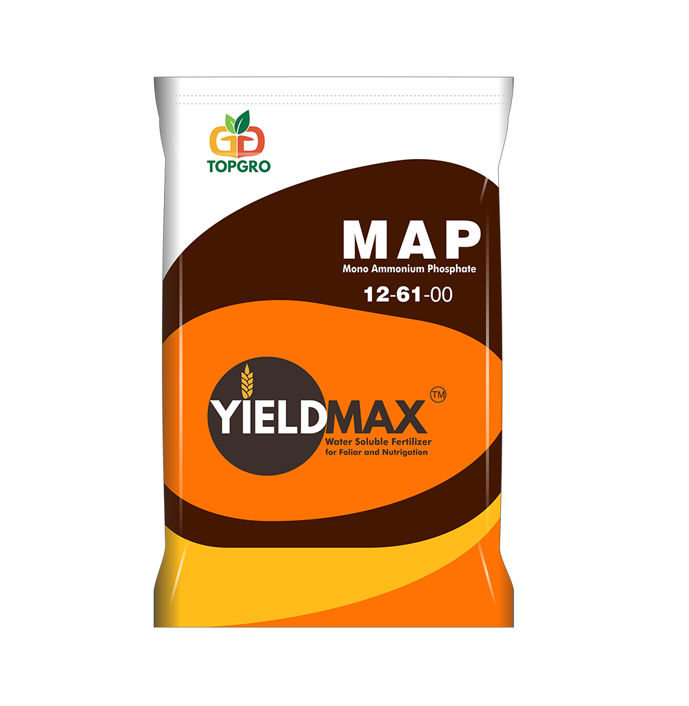 YIELD MAX 12-61-00