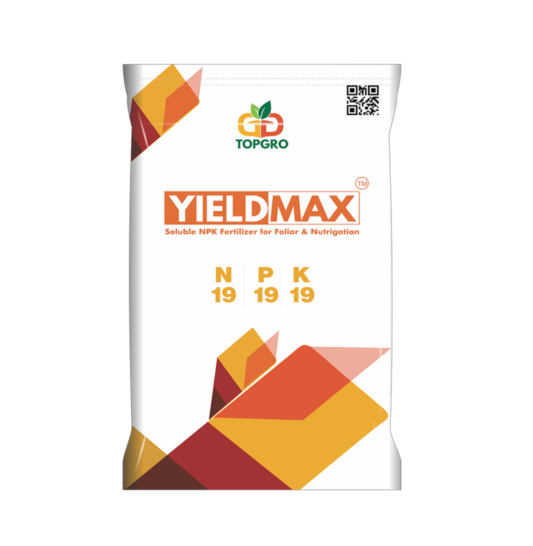 YEILD MAX 19 19 19