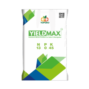 YEILD MAX 13 0 45